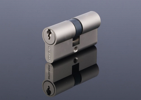 Euro Profile Cylinder with Standard Key