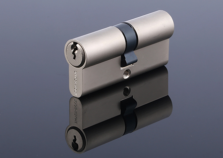 Euro Profile Cylinder, C6+